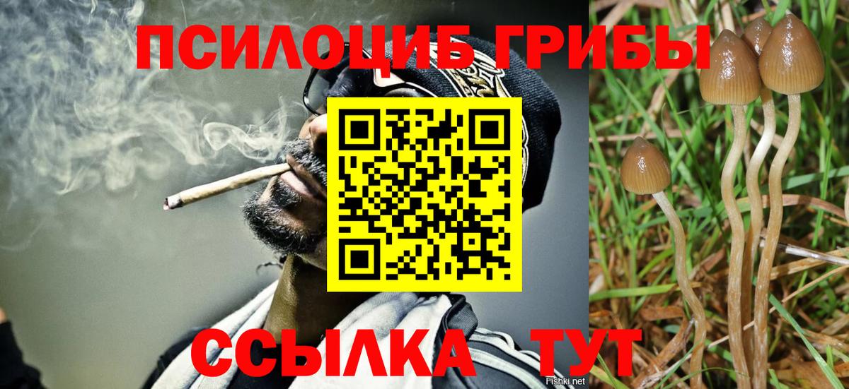 Псилоцибиновые грибы Cubensis  наркотики  Галлюциногенные грибы Psilocybine cubensis  Гусь-Хрустальный  Вход с VPN 