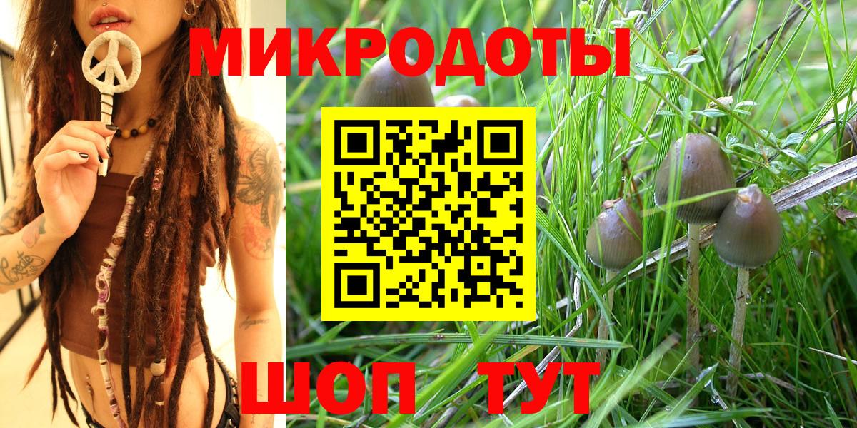 Псилоцибиновые грибы ЛСД Гусь-Хрустальный
